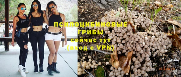 мяу мяу кристалл Алексин