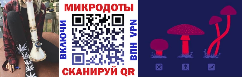 Галлюциногенные грибы прущие грибы  Ахтубинск 